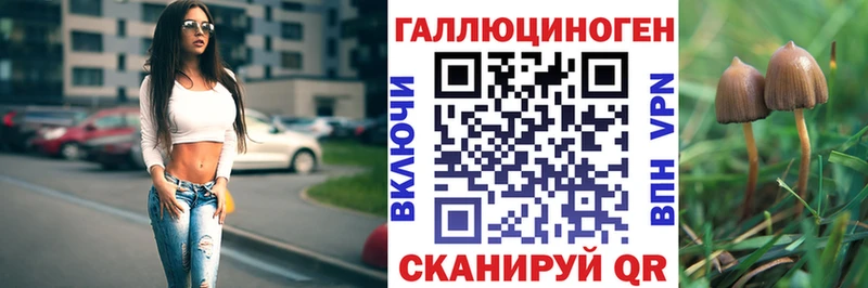 продажа наркотиков  Кирс  Псилоцибиновые грибы прущие грибы 