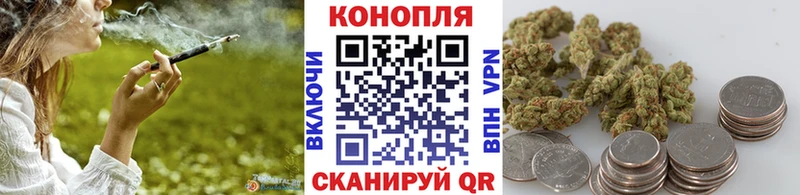 Бошки марихуана MAZAR  Кирс 